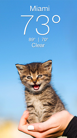 Weather Kitty Screenshot 1