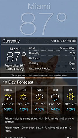Weather Kitty Screenshot 4