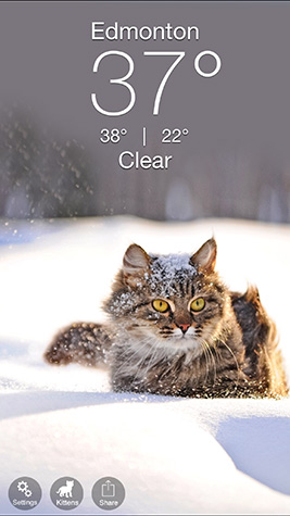 Weather Kitty Screenshot 6