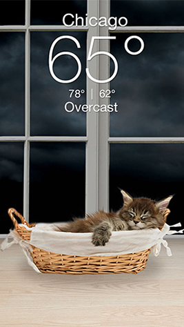 Weather Kitty App