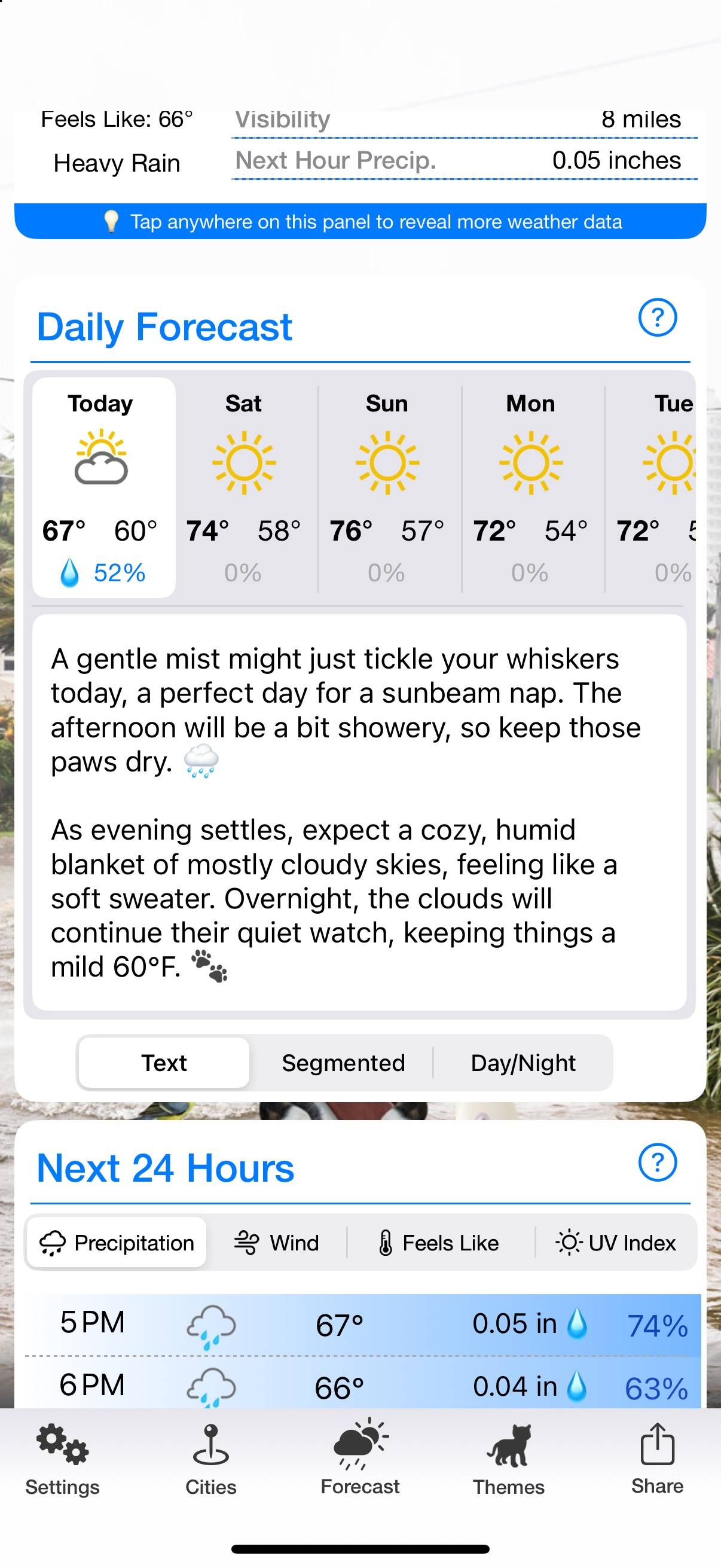 Weather Puppy: A forecast with opinions