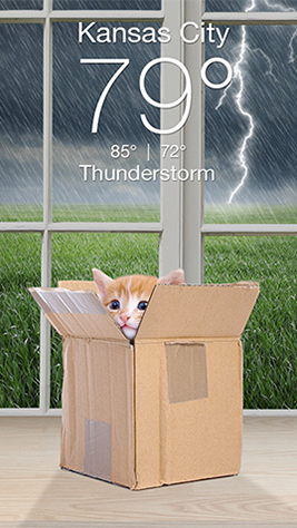 Weather Kitty Screenshot 2